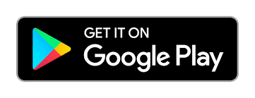 Viszle Logo